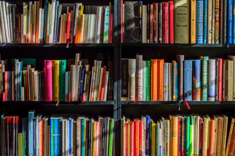 boutique-ST CYR SUR MER-min_books_bookstore_book_reading_shop_writer_sale_books_read-822866